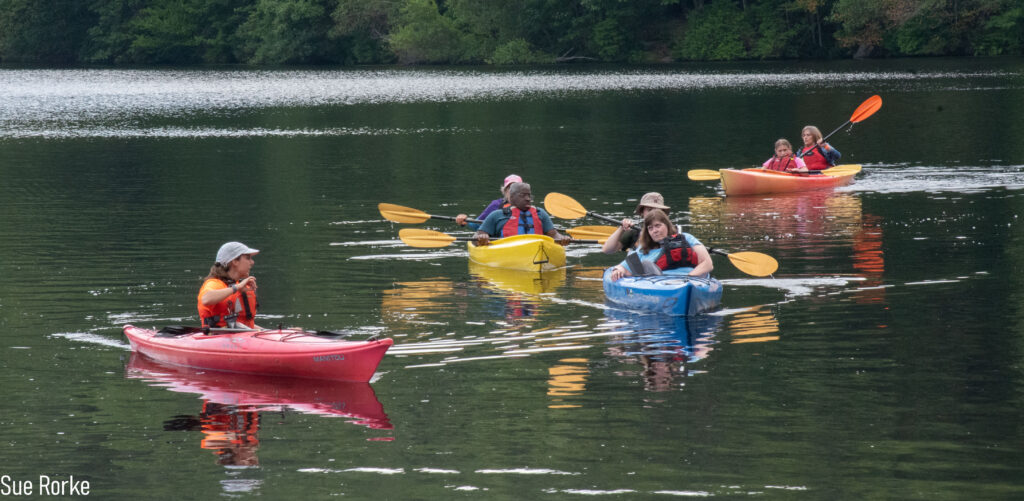 bunch of kayaks