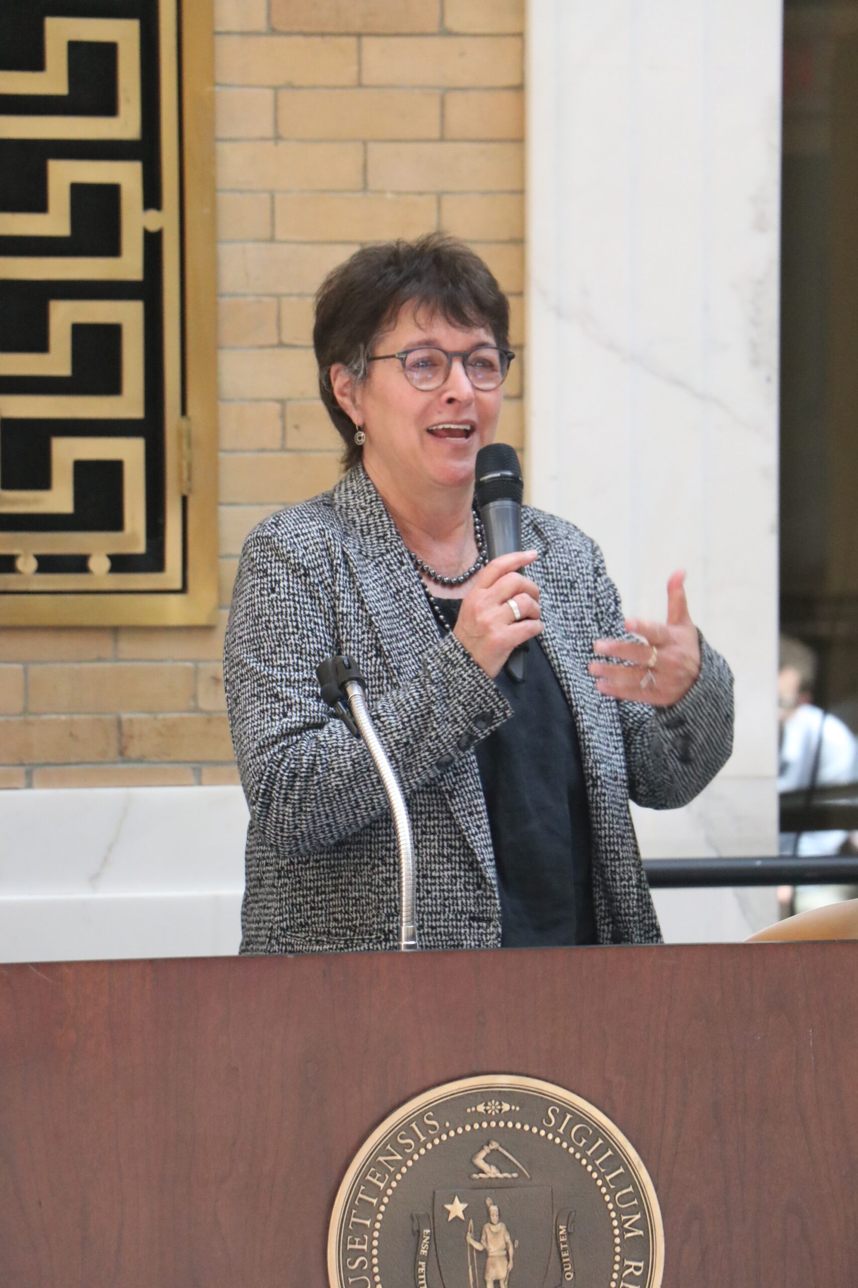Representative Mindy Domb holding a microphone, smiling, and speaking
