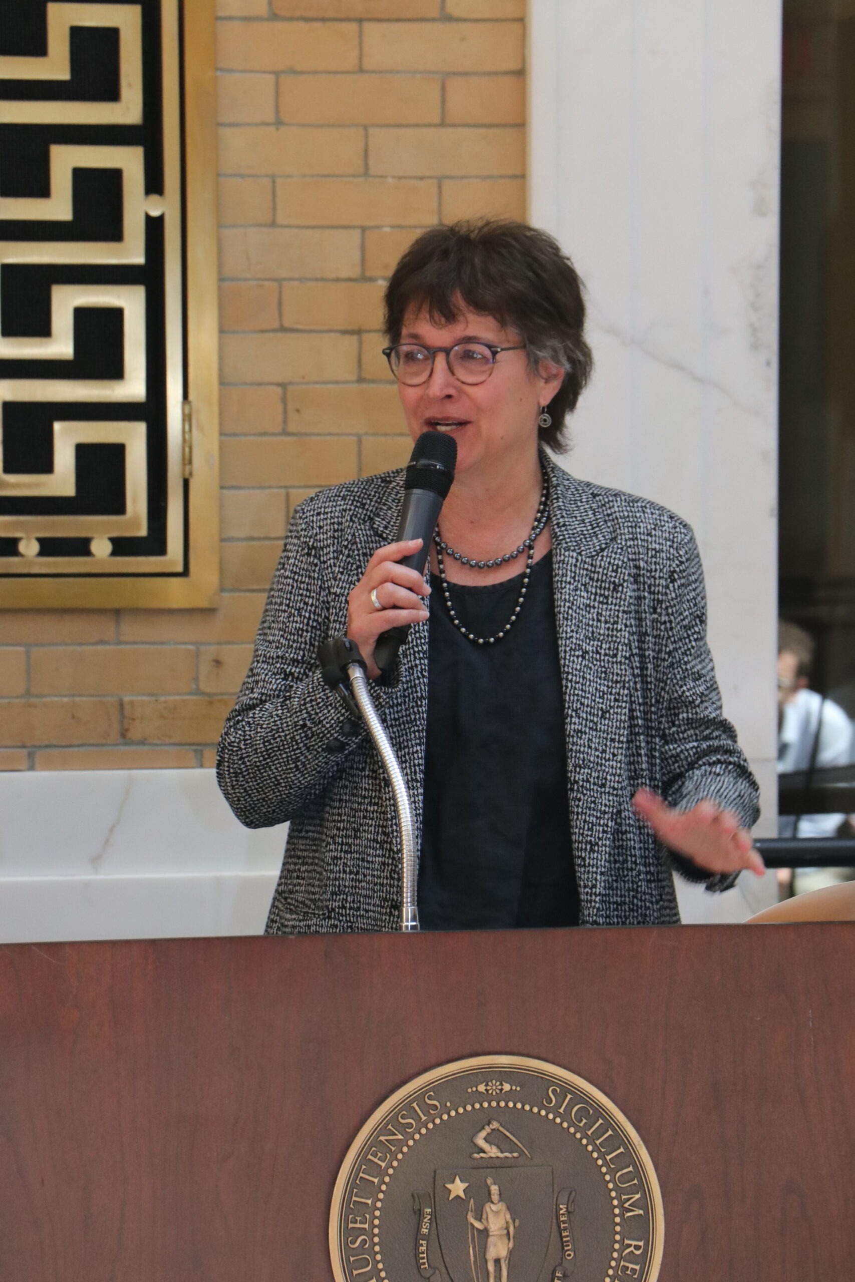 Representative Mindy Domb holding a microphone, smiling, and speaking