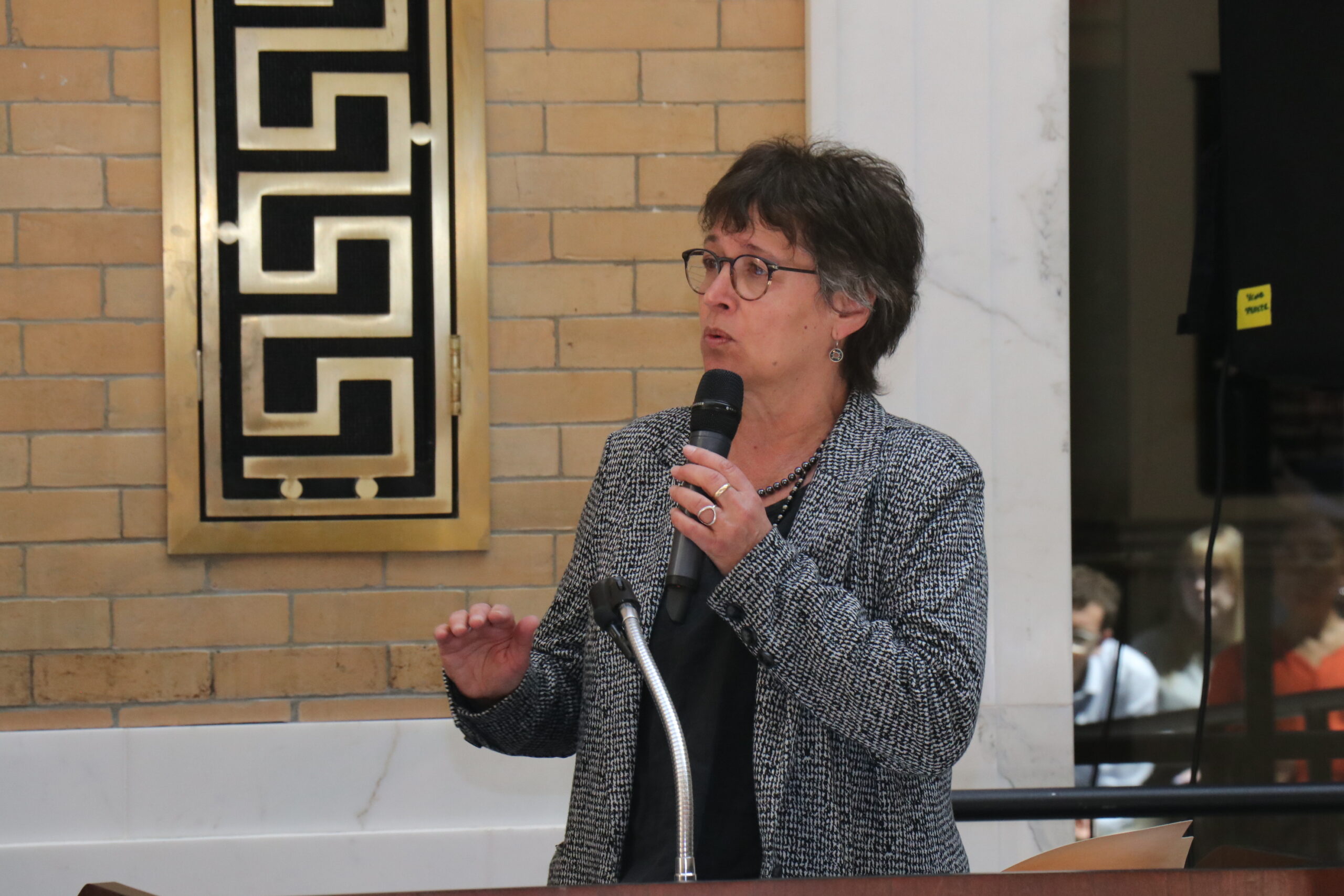 Representative Mindy Domb holding a microphone and speaking