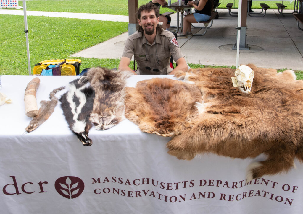 DCR table