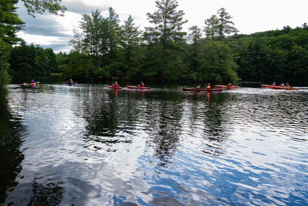 View of pond with kayaks